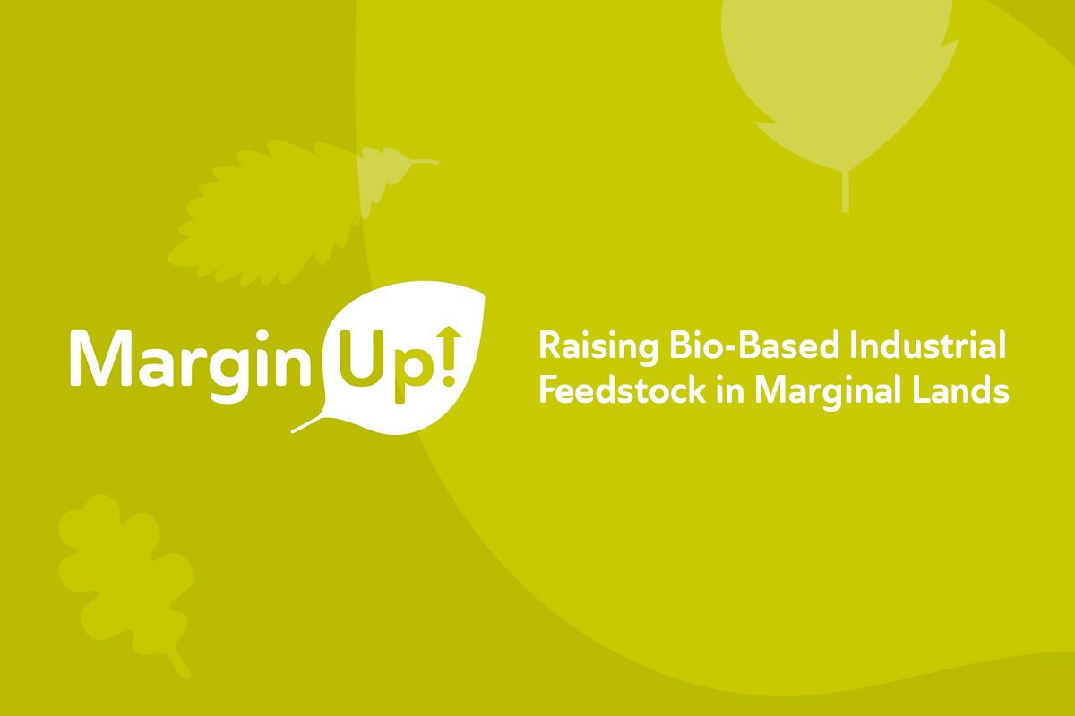 margin-up website preview