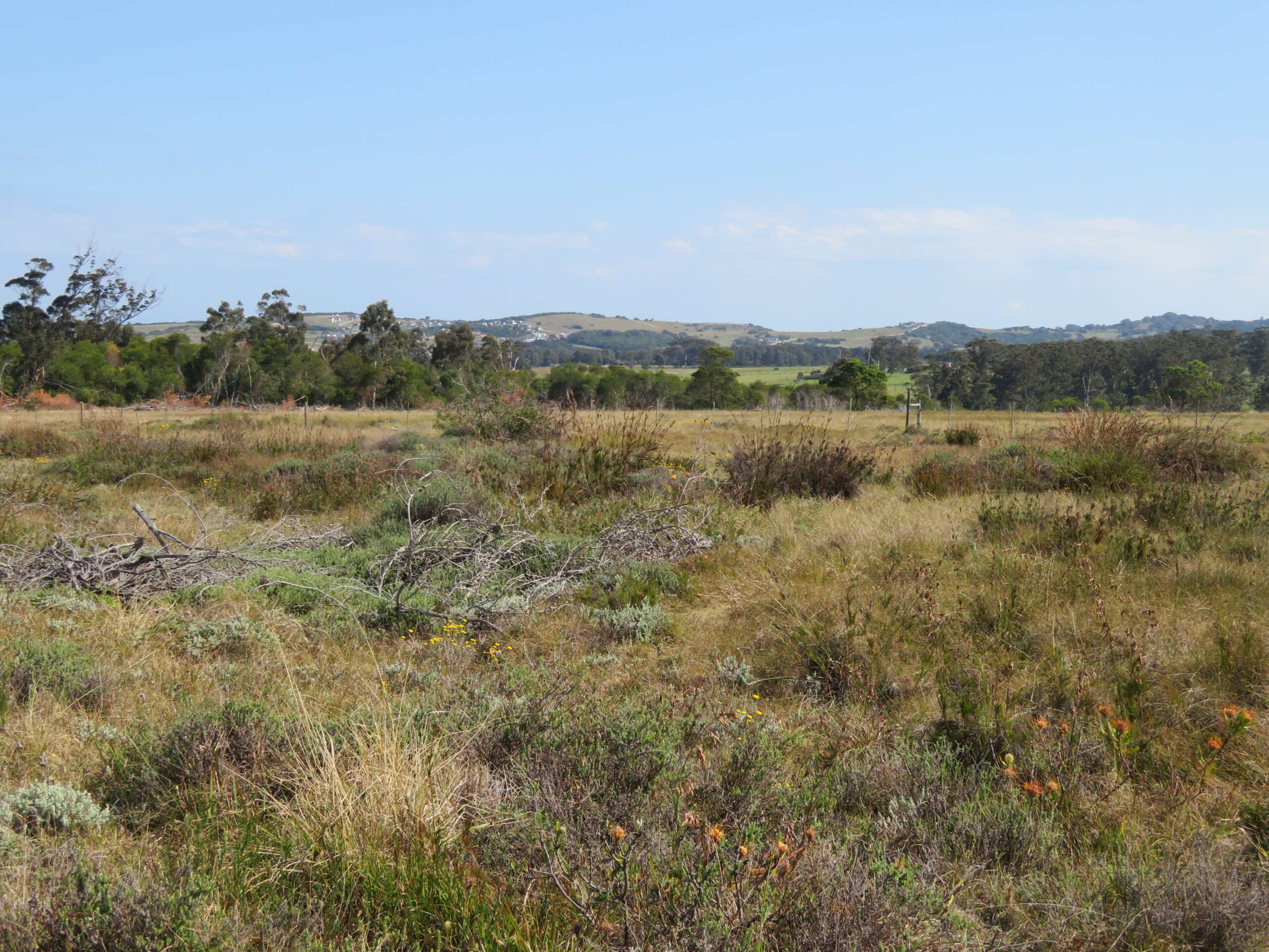 Description of image 1